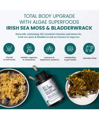 Brain Superfoods Bundle - Organic Sea Moss & Smart Shrooms Capsules and Liquid Drops Bundle Organic Irish Seamoss and 7 Adaptogenic Supplements for Memory and Focus. Liquid Drops in Chocolate Flavor - Buy Online on GoSupps.com