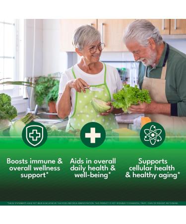 Moringa Supplement Drops - Ashwagandha, Spirulina, Chlorella, Turmeric & Ginger Liquid Barley Grass with Chlorophyll, Matcha, Algae, Vitamin C Antioxidant, Holy Basil, Ceylon Cinnamon - 4fl Oz 2 Fl Oz (Pack of 2) - Buy Online on GoSupps.com