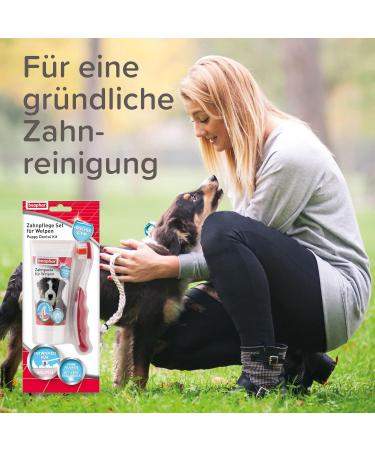 BEAPHAR Dental Care Set for Puppies - Liver Flavor Toothbrush & Toothpaste - Ideal Puppy Oral Hygiene (1 Piece + 50g) - Buy Online on GoSupps.com