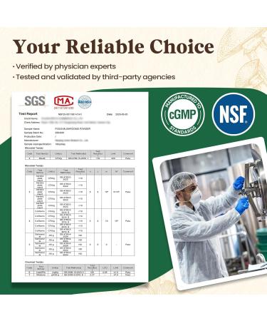 Fidus 16 Mushroom Supplement Powder with 17,300mg, 90 Day Servings Mushroom Coffee Alternative for Immunity, Focus & Energy with Ashwagandha, Lion's Mane, Chaga and Reishi, 100% Fruiting Bodies 6.7 Ounce (Pack of 1) - Buy Online on GoSupps.com