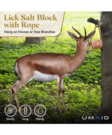 UMAID 6 lbs Himalayan Animal Lick Salt On Rope for Horses, Deer, Livestock - 2 Count - Buy Online on GoSupps.com
