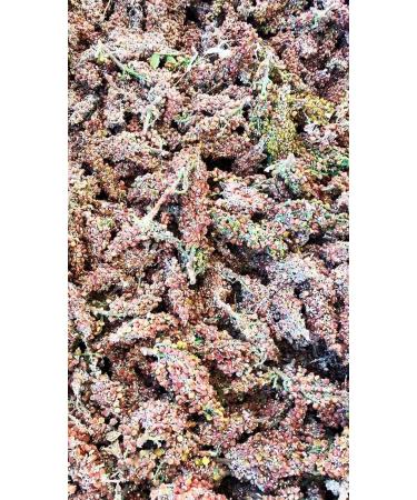 Wild Mountain Sumac I 80g I Ground & Seedless I Single Origin, Handpicked & Sun-Dried - Buy Online on GoSupps.com