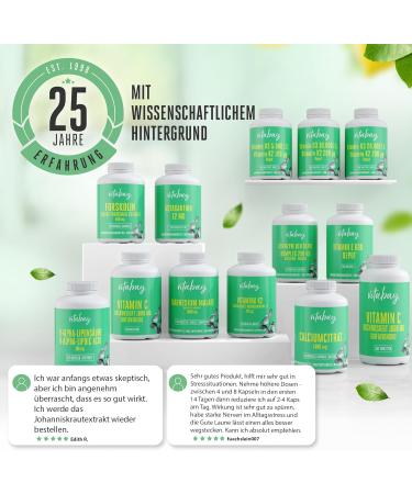 Vitabay St. John's Wort Extract 5000 mg - 120 Vegan Capsules | High Dose Hypericin | Made in Germany | Natural Mood Support - Buy Online on GoSupps.com