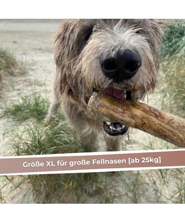 Zoyys XL Coffee Wood Chewing Bones for Dogs - Natural Dental Care & Sustainable Employment - Durable Low-Raw Dog Accessories - Buy Online on GoSupps.com