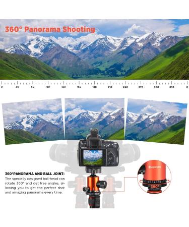 GEEKOTO 77'' DSLR Camera Tripod with 360 Ball Head - Lightweight & Durable - Buy Online on GoSupps.com