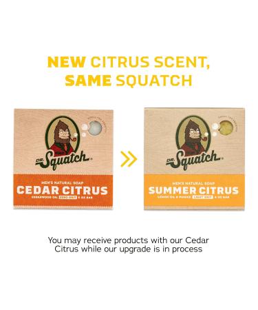 Dr. Squatch All Natural Men's Bar Soap Variety Pack - 5 Bars (Summer Citrus, Cool Aloe, Gold Moss, Bay Rum, Pine Tar) - Buy Online on GoSupps.com