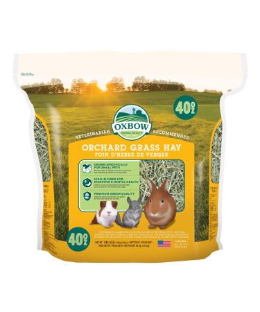 Oxbow Animal Health Orchard Grass Hay - All Natural Grass Hay for Chinchillas, Rabbits, Guinea Pigs, Hamsters & Gerbils 2.5 Pound (Pack of 1)