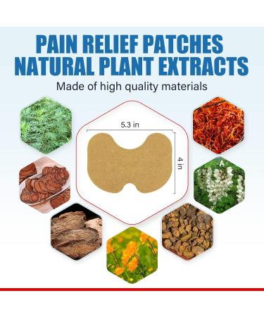 Natural Herbal Knee Pain Relief Patches - Fast Acting Heat Patches for Inflammation (Pack of 48) - Buy Online on GoSupps.com