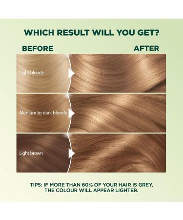 Garnier Nutrisse Ultra Cr me Permanent Hair Dye 100% Grey Coverage Vegan Formula Nourished Hair Long-Lasting Rich Colour 800 Medium Neutral Blonde 1 Application Packaging May Vary BLONDE SHADES 800 Medium Natural Blonde - Buy Online on GoSupps.com