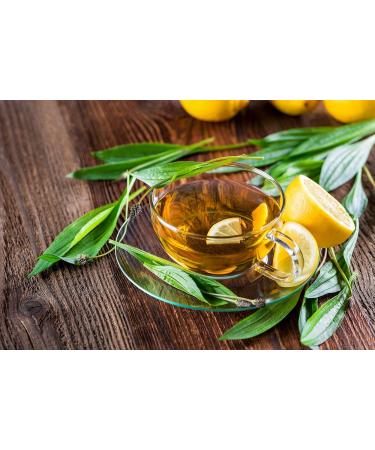  TASTY POTT Tasty Pott Organic Cut and Dried Plantain | For Herbal Tea | Well-Known Medicinal Plant | Tea Making | Infusion | Vegan | Natural Product | Plantain | In a 250g Bag - Buy Online on GoSupps.com