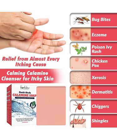 Calming Calamine Soap Bar for Instant Itch Relief - Ideal for Bug Bites, Eczema, Poison Ivy, Chicken Pox - Raw Anti-Itch Skincare - Buy Online on GoSupps.com