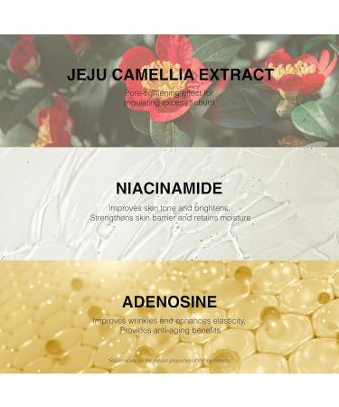 Be-Hope Vegan Luxury Pore Lifting Ampoule Firming and Pore Minimizing Serum with Peptides Camellia Extract Hyaluronic Acid Lightweight 50ml / 1.7 fl oz - Buy Online on GoSupps.com