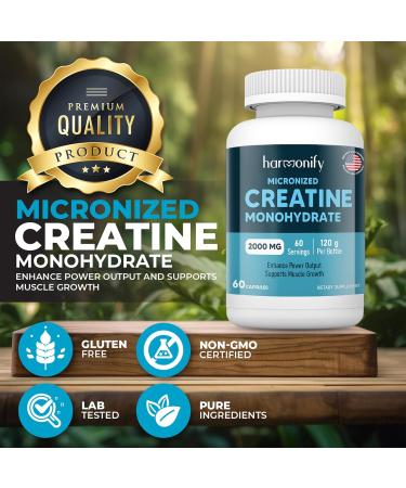 Creatine Monohydrate 2000 mg Powder - Boost Muscle Energy & Cognition | Gluten-Free Keto NSF Certified | 60 Servings - Buy Online on GoSupps.com
