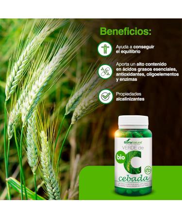 VERDE DE CEBADA 80cap is a dietary supplement in easytoswallow capsules It is taken regularly according to the indicated dosage The package contains 80 capsules This makes it simple - Buy Online on GoSupps.com