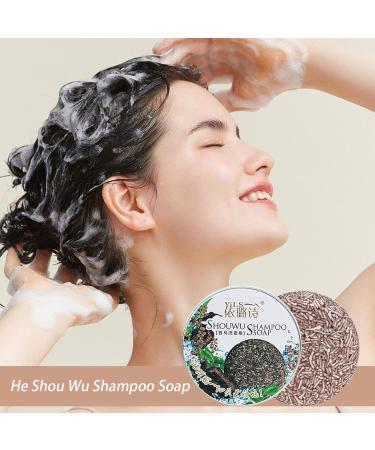 Shampoing Solide Polygonum Multiflorum - Savon de Soin pour Assombrir les Cheveux | Nourrit la Favorise la Repousse Anti-Chute Aux Huiles Essentielles Bio et Artisanal - Buy Online on GoSupps.com