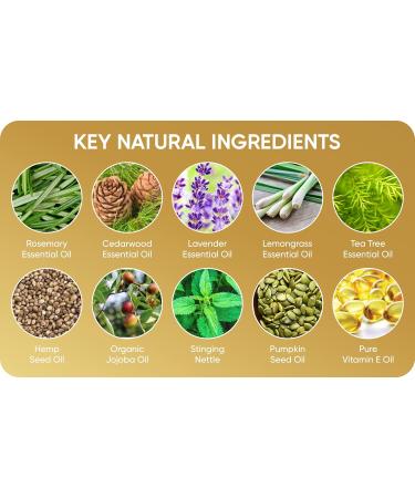 Hair Growth Oil for Damaged Hair & Scalp - Rosemary & Castor Oil Treatment for All Hair Types (2 Fl Oz - Buy Online on GoSupps.com