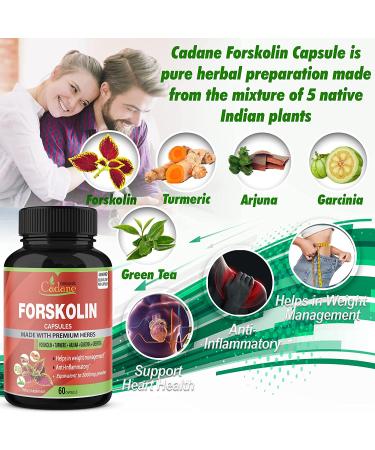 Organic Forskolin Extract 5000MG Capsules with Turmeric, Arjuna, Garcinia Cambogia & Green Tea - Maximum Strength India Supplements for Nourishing Diet & Energy Boost - Buy Online on GoSupps.com