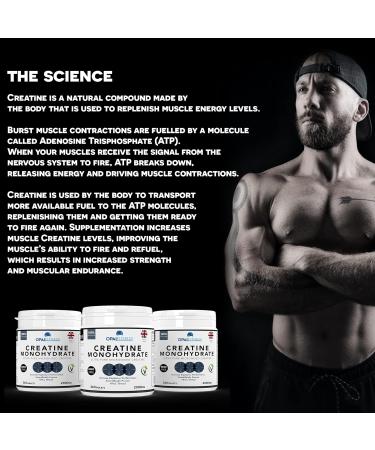 Opal Fitness Creatine Monohydrate Tablets - Increase Muscle Strength and Energy - Vegan & Easy to Swallow - Build Lean Muscle - Scientifically Proven - Buy Online on GoSupps.com