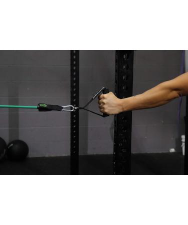 Bear KompleX 11 Piece Resistance Band Set - Home Workout Essentials Stackable Bands Door Anchor Ankle Straps & Handles for Strength Training - Buy Online on GoSupps.com