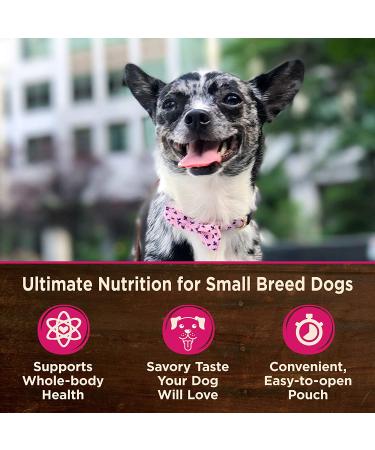 Wellness CORE Mini Meals Wet Dog Food 12-Pack - Shredded Chicken & Turkey Chunky Pate in Gravy - Buy Online on GoSupps.com