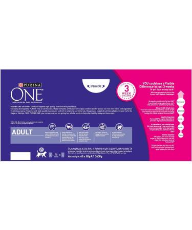 Purina ONE Adult Cat Mini Fillets in Gravy - 40x85g | High-Quality Wet Cat Food - Buy Online on GoSupps.com
