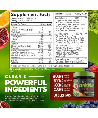 Superfood Greens Powder Supplement with Spirulina, Wheat Grass, Chlorella - Vegan Non-GMO Blend with Digestive Enzymes & Antioxidants - 30 Servings - Buy Online on GoSupps.com
