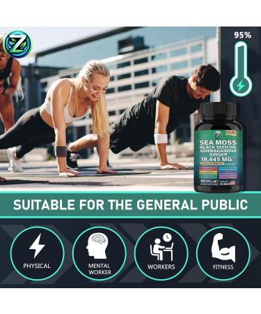 Organic Sea Moss Capsules - 60 Count | Wildcrafted Irish Sea Moss Bladderwrack Burdock Root & More for Digestive Skin & Joint Health - Buy Online on GoSupps.com