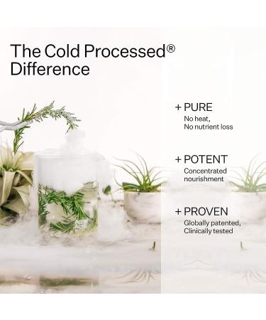 ACT+ ACRE Cold Processed Balancing Shampoo - Sulfate-Free Clarifying Hair Treatment with Moringa Oil (10 fl oz) - Buy Online on GoSupps.com