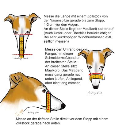 Buy Don Pare Muzzle Model 101 in Light Blue - Ideal for Dogs Kennels Racing and Car Travel | Amathings - International Shipping Available - Buy Online on GoSupps.com