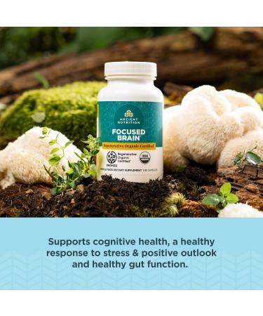 Ancient Nutrition Regenerative Organic Certified Focused Brain Capsules Made with Ginkgo Leaf Lion's Mane to Help Reduce Stress Gluten Free Paleo and Keto Friendly 90 Count - Buy Online on GoSupps.com