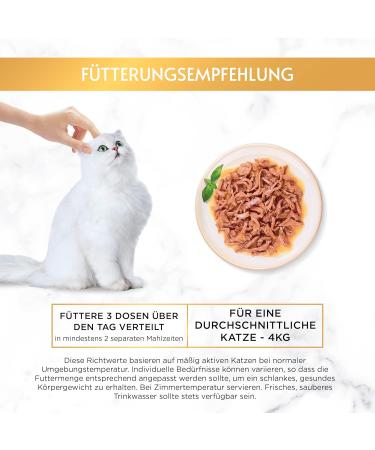 Gourmet Gold Cat Food in Thin Wet and Juicy Strips (4 x 24 x 85 g) - Buy Online on GoSupps.com