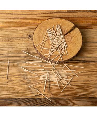 Mint Menthol Toothpicks - 600 Pcs Bulk Natural Wooden Dental Picks for Oral Health - Buy Online on GoSupps.com