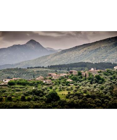 Keros Greek Organic Extra Virgin Olive Oil | Cold Pressed from 1000 Year Old Trees | High Phenolic | New Harvest 2022 | 101.4 Fl Oz - Buy Online on GoSupps.com