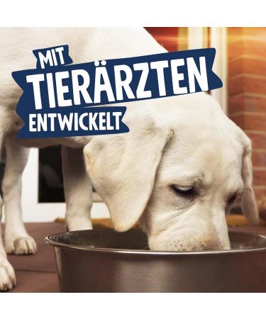 Pets Deli Wet Dog Food - Chicken Carrot Quinoa & Zucchini - Gluten & Sugar-Free (6 x 400g Pack) - Buy Online on GoSupps.com