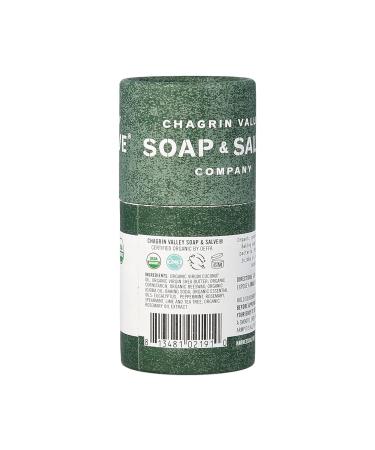 Organic Natural Deodorant Stick - Chagrin Valley Soap & Salve | Fresh Mint - Eco-Friendly & Chemical-Free - Buy Online on GoSupps.com
