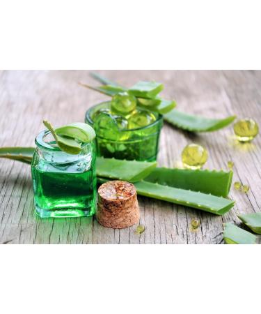 Tasty Pott Organic Aloe Vera Juice - Aloe Vera Juice - Natural Plant Juice - Vegan Food - Rich in Vitamins - Fruit Juice - In a 1000 ml Glass Bottle - Buy Online on GoSupps.com