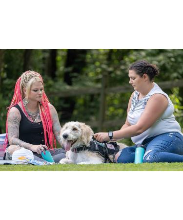 NormaLyte Oral Rehydration Salts - Pack of 6 | Vegan Electrolyte Powder for Hydration Energy & Dehydration Relief | Pure No Preservatives Potassium Supplement - Buy Online on GoSupps.com