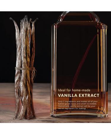 Madagascar Vanilla Beans - Grade B Vanilla Pods - Rich  Creamy Flavor & Aroma - Ingredients for Baking  Homemade Extract  Paste  Brewing  Coffee  Cooking - 6-7"  15 Bean - Buy Online on GoSupps.com