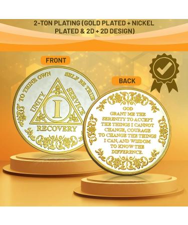 1 Year Sobriety Coin | AA Medallion for Alcoholics Anonymous Recovery - Buy Online on GoSupps.com