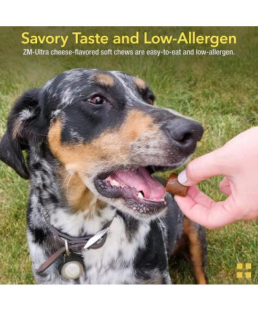 Animal Pharmaceuticals ZM-Ultra Joint Support Soft Chews for Dogs & Cats - 60 ct - Glucosamine Chondroitin - Hip & Joint Health Supplement - Buy Online on GoSupps.com