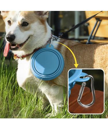Tokayife Foldable Dog Bowl 560ml - Travel Bowl with Carabiners for Indoor & Outdoor Use - Blue - Buy Online on GoSupps.com