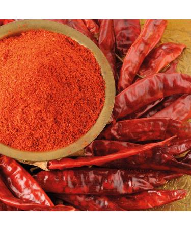 Rajah Extra Hot Chili Powder - Spicy Seasoning for Cooking | 100g - Buy Online on GoSupps.com