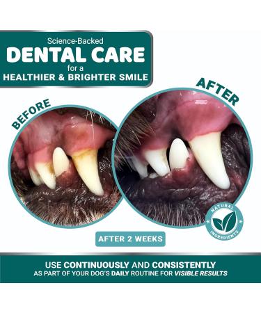 Advanced Dog Dental Powder Breath Freshener with Multivitamin Dog Teeth Cleaning Bad Breath & Tartar and Plaque Off Remover for Dogs Probiotics lab co Pet Oral Care - Vitamins and Supplements Multivitamin 5.3 OZ - Buy Online on GoSupps.com