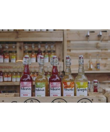 ECOLOGICAL DRINK KOMBUTXA TE KOMBUCHA - 6 bottles 750ml Organic fermented tea ecological energy fat burning without added sug - Buy Online on GoSupps.com