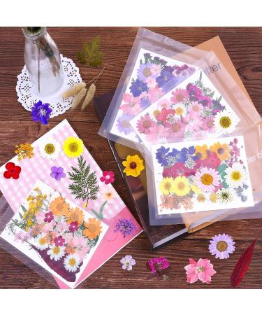 Dried Pressed Flower Kit for Resin Crafts - 140 Pcs Natural Herbs, Leaves & Flowers for Scrapbooking, DIY Art, Jewelry, Candle, Soap Making - Bulk Pack - Buy Online on GoSupps.com