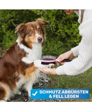 Bluepet Double-Decker 2-in-1 Dog Brush | Long & Short Hair | Perfect for Puppies & Cats | Daily Fur Care Tool - Pink - Buy Online on GoSupps.com