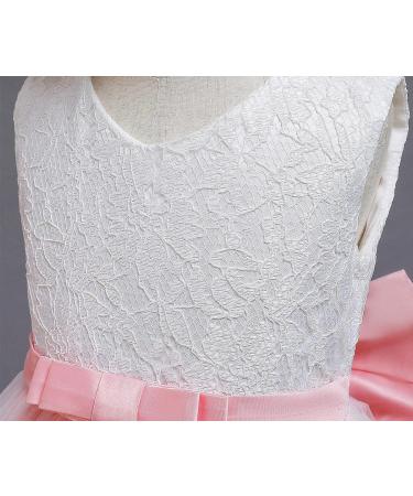 TTYAOVO Baby Princess Dress 2-3 Years | Baptism Christening Tutu Gown | Wedding Pageant | Pink & White - Buy Online on GoSupps.com