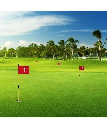 XCELLENT Mini Golf Putting Green Flag and Hole Cup Set - Portable 2-Section Fiberglass Flag Sticks - (4Pack Red #1 2 3 4) - Perfect Yard Practice Gift - Buy Online on GoSupps.com