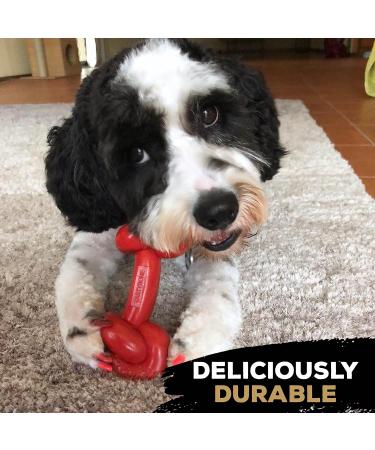 Rosewood 57042 TastyBone Extra Robust Knotted T-Bone Dog Toy - Durable Nylon Beef Flavor for All Dogs - International Shipping Available - Buy Online on GoSupps.com