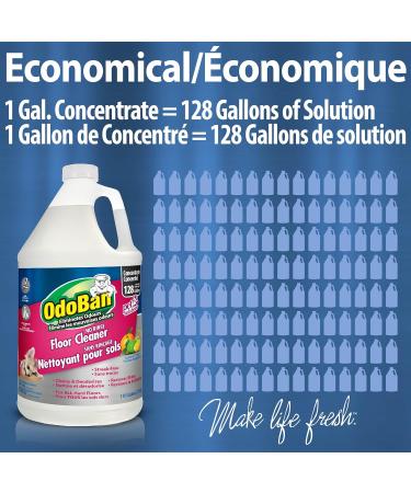OdoBan No Rinse Concentrated Hardwood and Laminate Floor Cleaner Neutral pH Streak Free Safe for Cleaning All Floors - 1 Gal. (3.79 L) - Buy Online on GoSupps.com